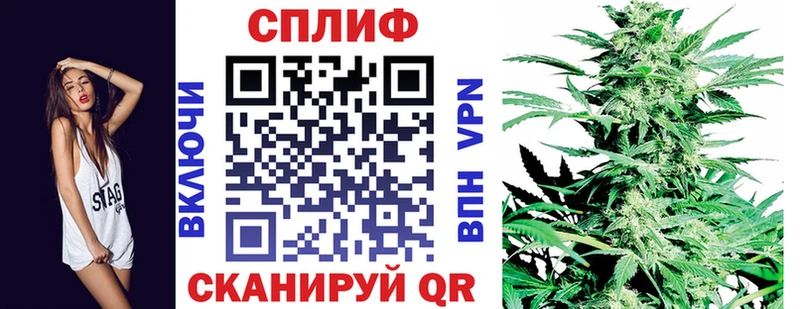 Где можно купить наркотики Задонск Гашиш  mega как войти  Меф мяу мяу  Канабис  A PVP 