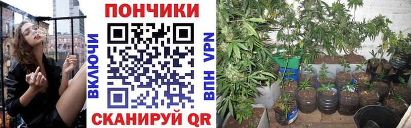 даркнет сайт mega как войти Бошки марихуана SATIVA & INDICA Задонск